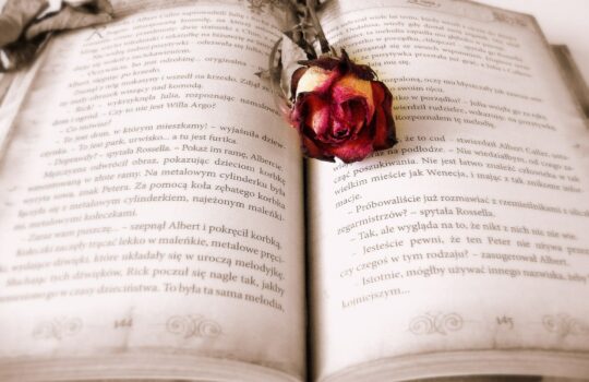 速読は1億円を捨てるようなもの！？スキミング熟読術