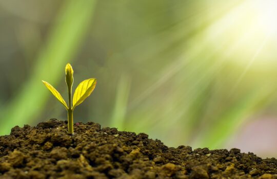 証明型マインドセットをやめてやる気を2倍にする方法