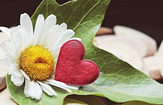 お人好しは貧乏になる！？損しないための心理学メソッド