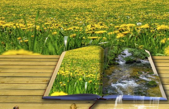 スマホをおしゃぶりがわりに使ってはいけない三つの理由