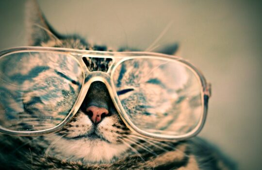 陰キャを卒業したいなら見た目を変えろ！「ステレオタイプ」の科学