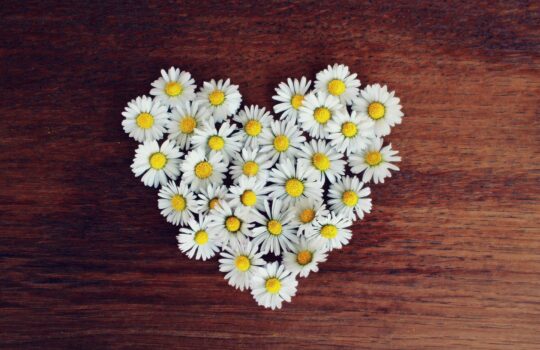 女性にはやはりツンデレ戦略が効果的らしい