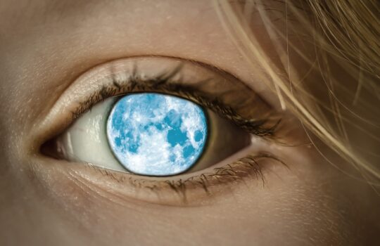 【集中力強制解放】電話帳さえ面白く感じる「環境」の作り方