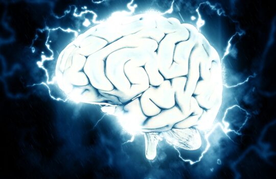 神経科学の話クリエイティビティ