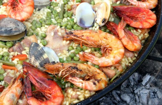 頭脳労働に必須な栄養素とは？