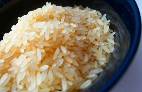 糖質摂りすぎてない？炭水化物は食事の何割ぐらいを目指すべき？