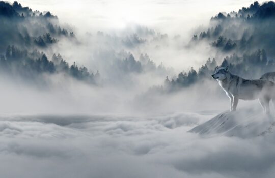 高校ぼっちを謳歌しろ！孤独を愛する3つの秘訣