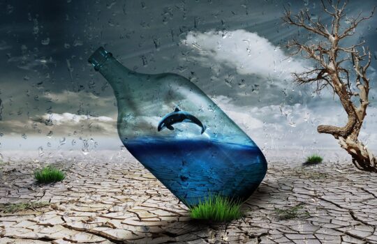 【体内時計】イルカタイプ(不眠型)のベストスケジュール