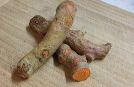 きんぴらごぼうだと8％しか残らない！？ごぼうの栄養素とオススメレシピ