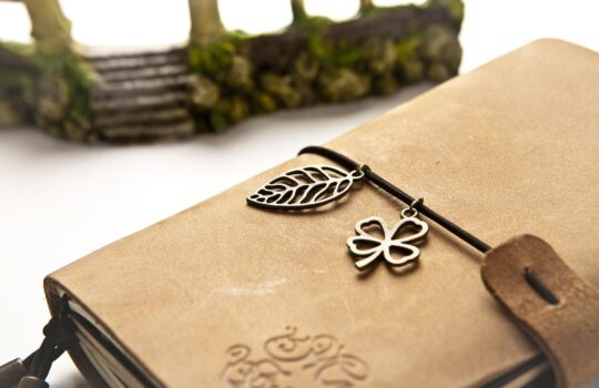 書くだけでいろんな能力値が伸びる習慣