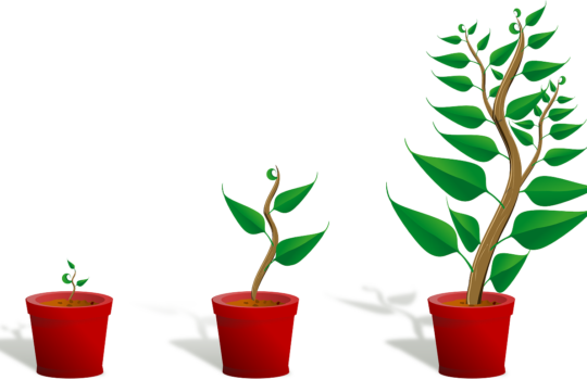 習慣はつくるのではなく育てるものだ！