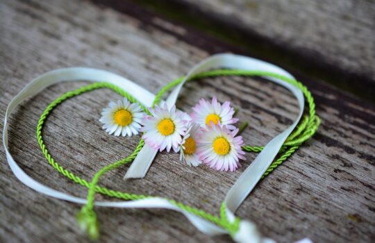 【VIAテスト】強みの具体的な活かし方【愛情・親切心・社会的知性】