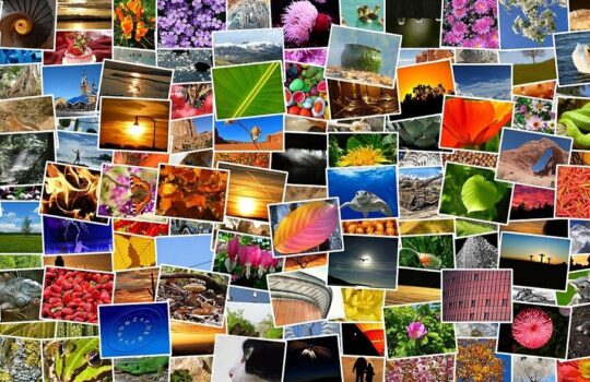 幸せな気持ちになれる妄想の極意