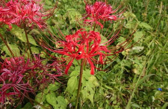 寛大で穏やかに生きるための「畏経行」