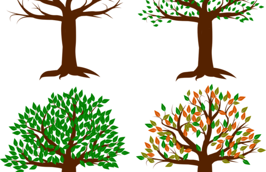 創造性を飛躍させるサボるテクニック