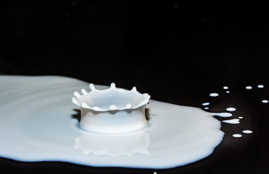 乳製品を控えるとニキビがよくなるかも！