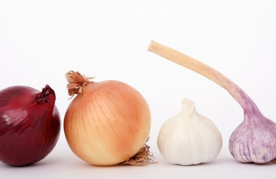 謎のお腹の不調？だったらFODMAP」に気をつけろ！【低フォドマップ食品一覧あり】