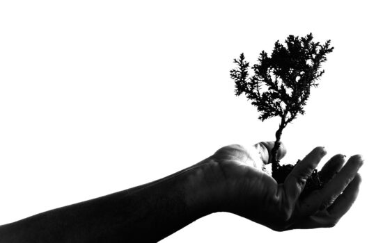 学業成績にも直結するスキル「成長マインドセット」を自力で鍛える！