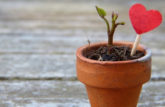 学業成績にも直結！？話題の特性「GRIT」の基礎知識