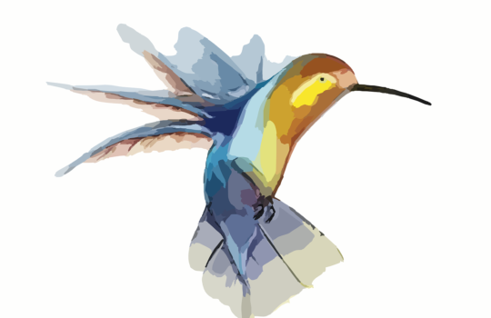 事実を捻じ曲げて不幸な選択に固執する「認知的不協和」とは？